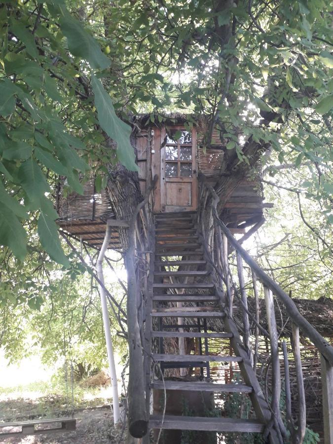Areni House B&B Exterior photo